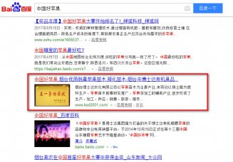 博士达优化效果展示